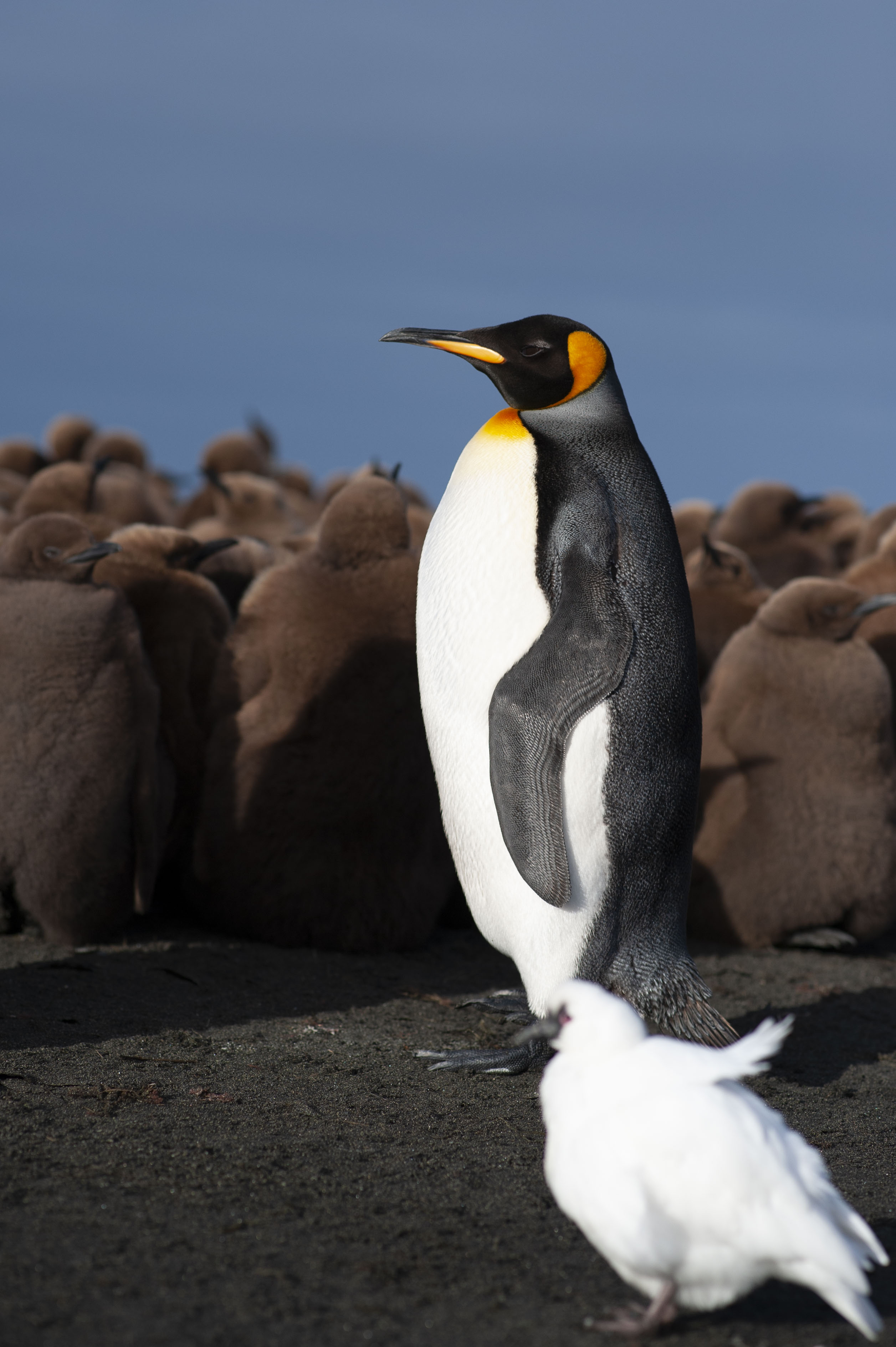 GYT 20220701 134820  DSC6269